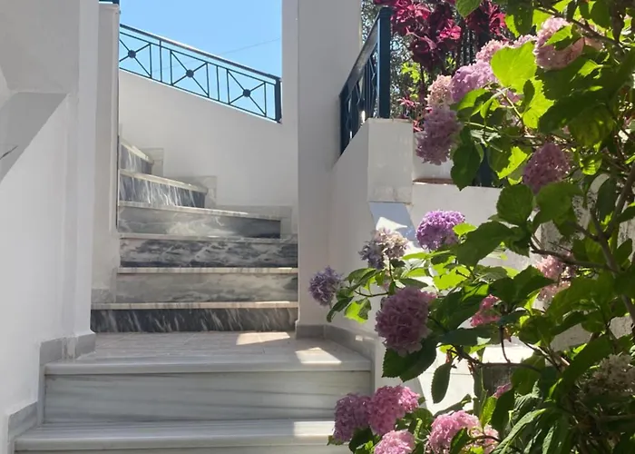 Xhani Sarandë