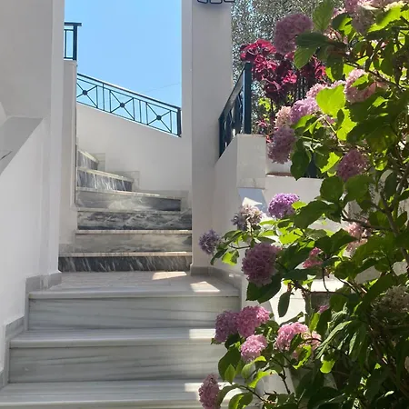 Xhani Σαράντα